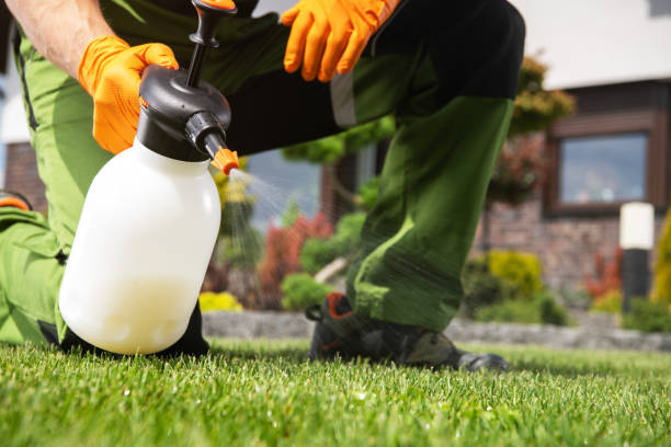 Best Mosquito Control Services  in Irvington, NY