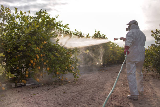 Best Commercial Pest Control Services  in Irvington, NY